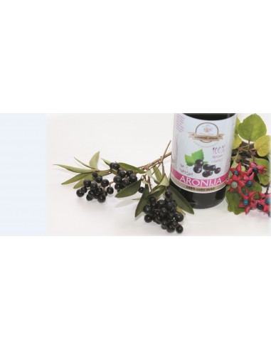 3+1   AKCIJA 100 % Sok Aronije