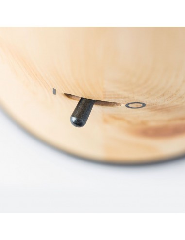 Kosmičnik "LISA" pinija