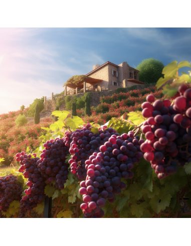 Traubenkerne - gemahlen 300g (Beutel)